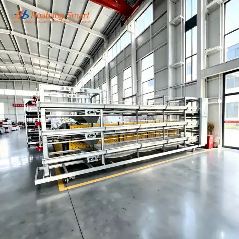 Maximizing Broiler Growth with the Right Broiler Chicken Cage